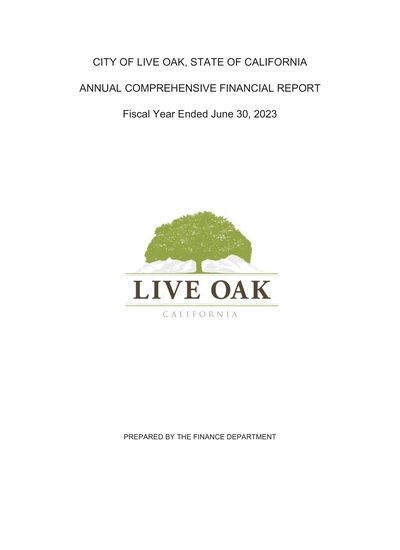 City of Live Oak ACFR Cover