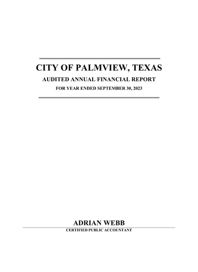 City of Palmview, Texas ACFR Cover