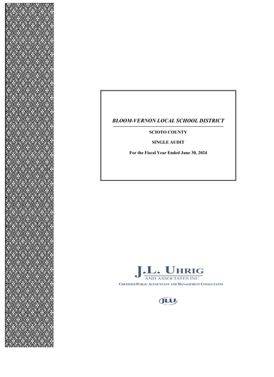 Bloom Vernon Local School District ACFR Cover