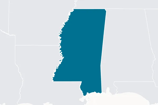 Wilkinson County Board of Supervisors — detail map