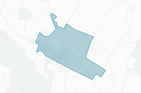 Village of Hyde Park — detail map