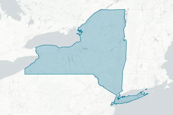 State of New York — detail map