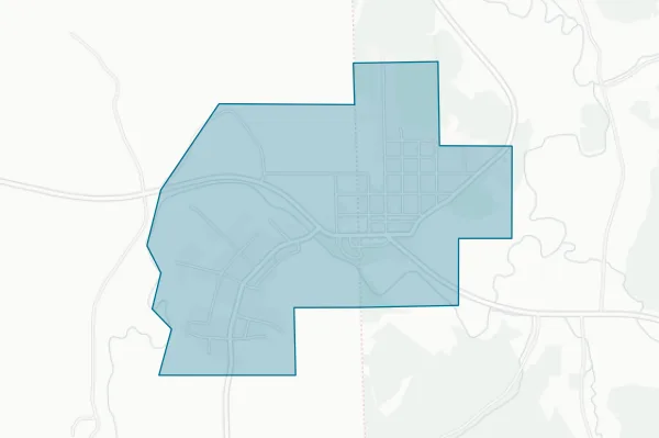 Village of Viola — detail map