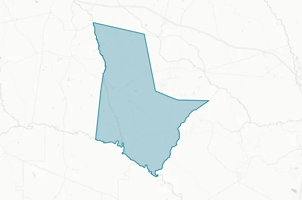 Tattnall County — detail map