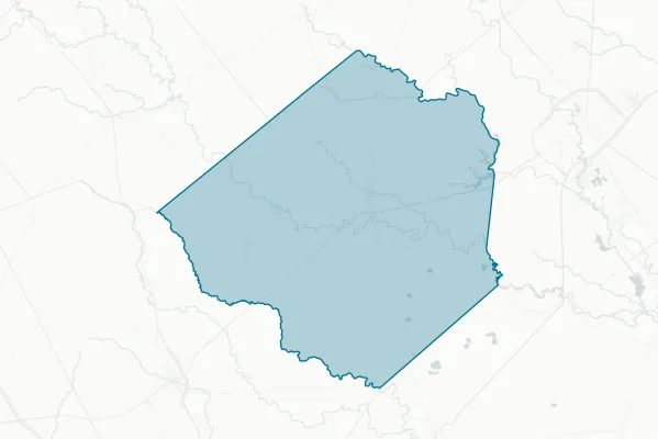 Goliad County — detail map