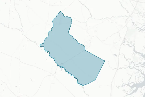Long County — detail map