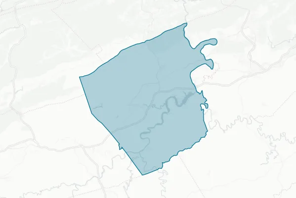 County of Pulaski — detail map