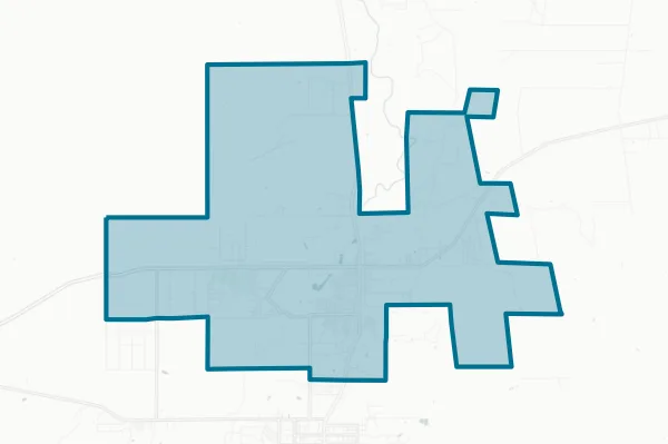 Town of Snowflake — detail map