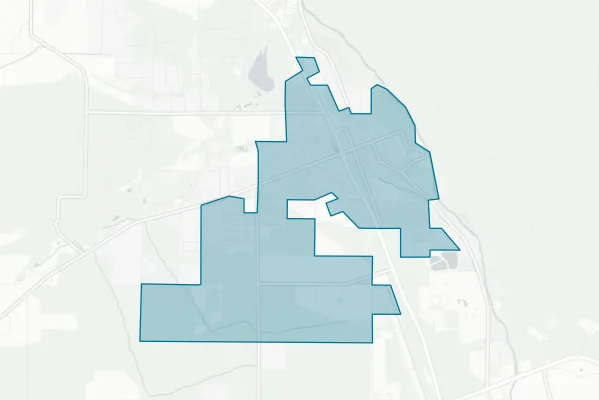 Town of Buena Vista — detail map