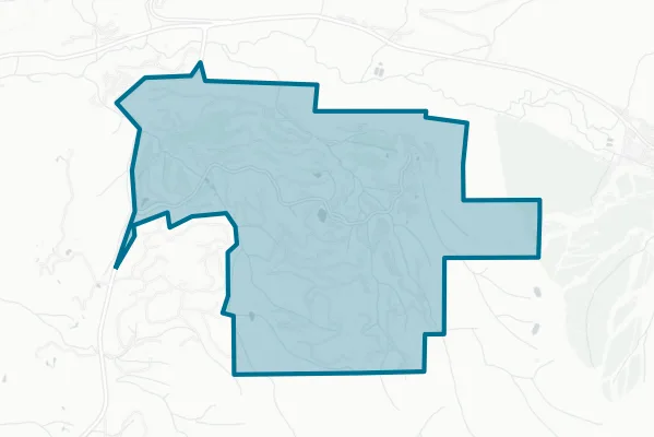 Town of Mountain Village — detail map