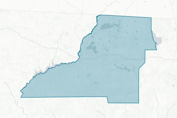 Leon County — detail map