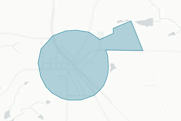 Town of Ochlocknee — detail map