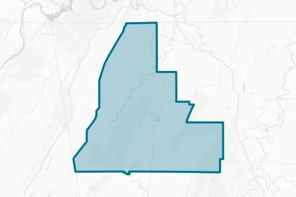 Walker County — detail map