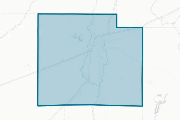 Effingham County — detail map