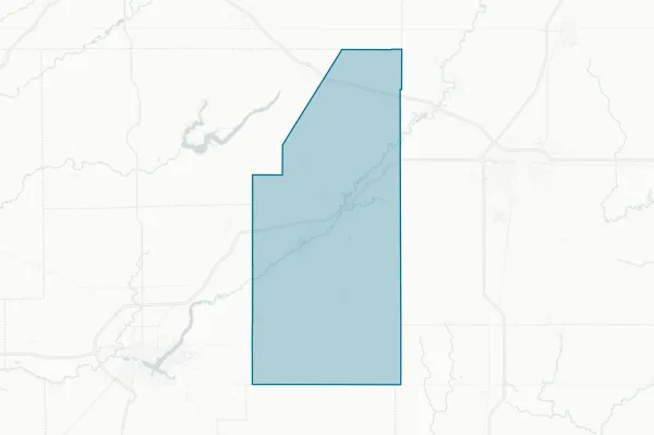 Piatt County — detail map