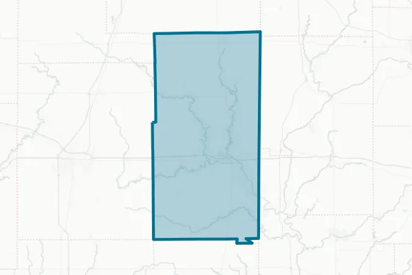 Vermilion County — detail map