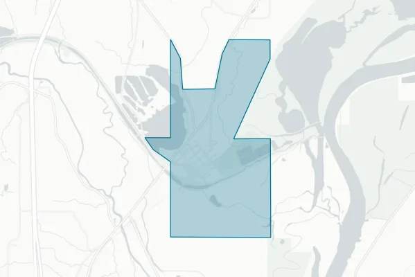 Village of Bureau Junction — detail map