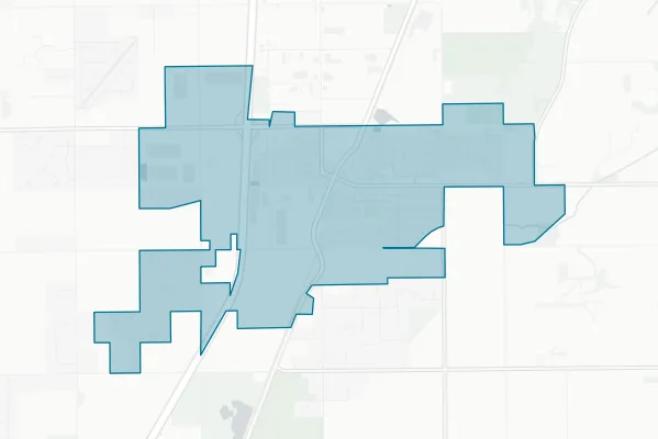 Village of Monee — detail map