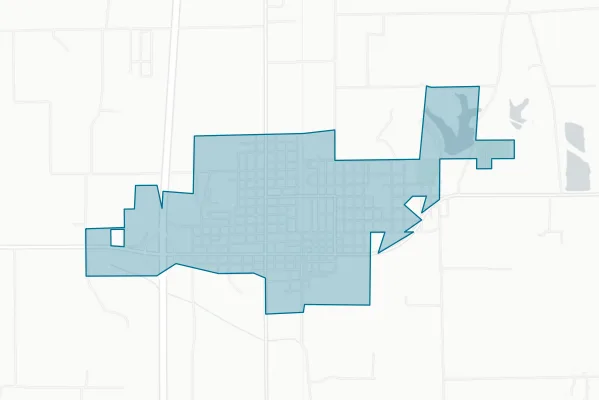 City of Johnston City — detail map