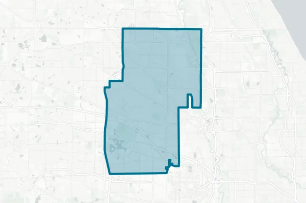 Township High School District 214 — detail map