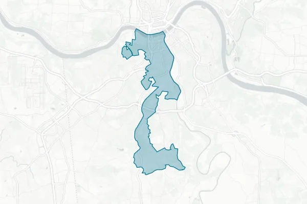City of Covington — detail map