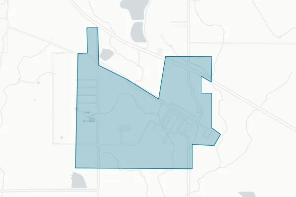 Village of Elizabeth — detail map