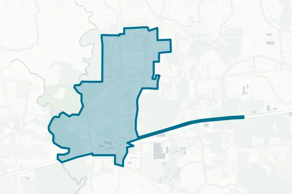 City of Denham Springs — detail map