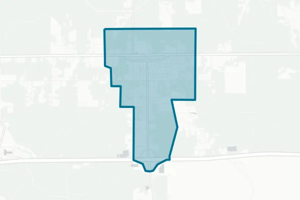 Town of Livingston — detail map