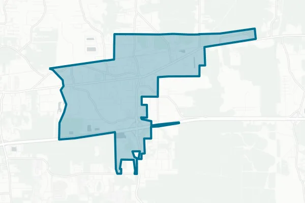 City of Walker — detail map