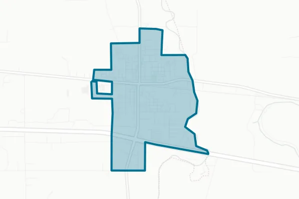 Town of Delhi — detail map