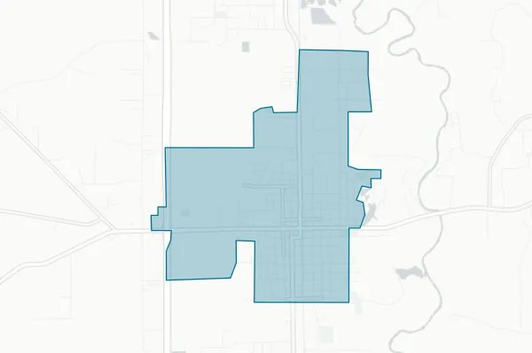 Town of Amite City — detail map