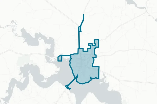 Town of Farmerville — detail map
