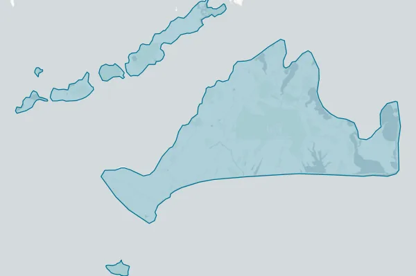 Town of Oak Bluffs — detail map