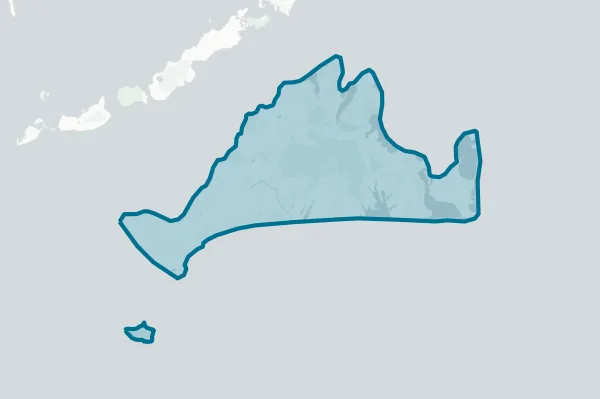 Martha's Vineyard Regional High School District — detail map
