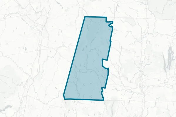 Lanesborough Village Fire and Water District — detail map