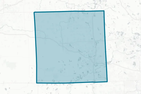 Livingston County — detail map