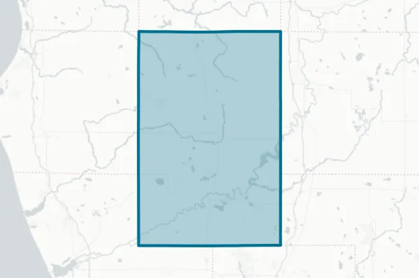 County of Newaygo — detail map