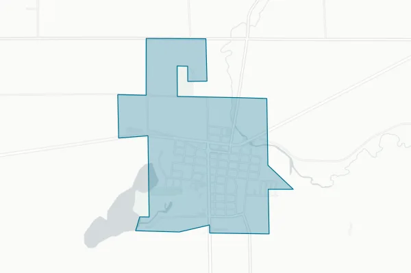 Village of Homer — detail map
