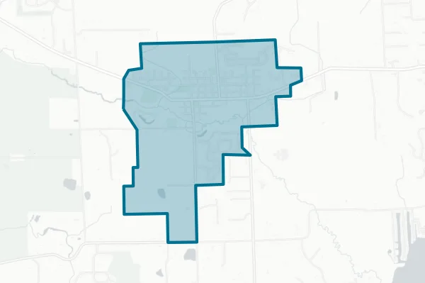 Village of Pinckney — detail map