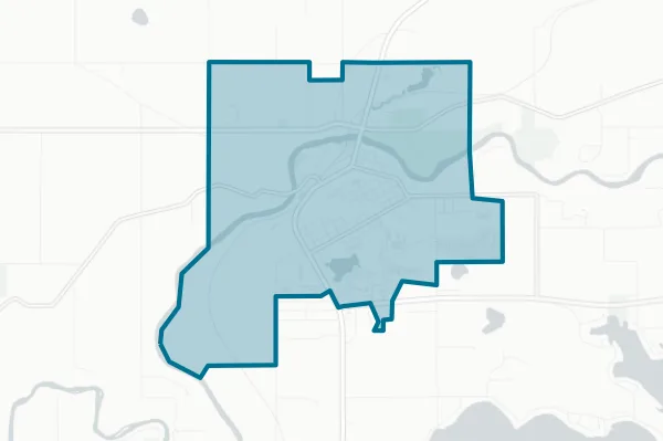 City of Newaygo — detail map