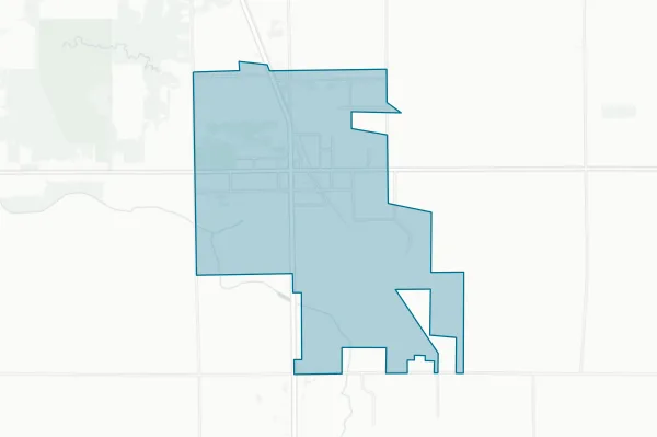 Village of Millington — detail map