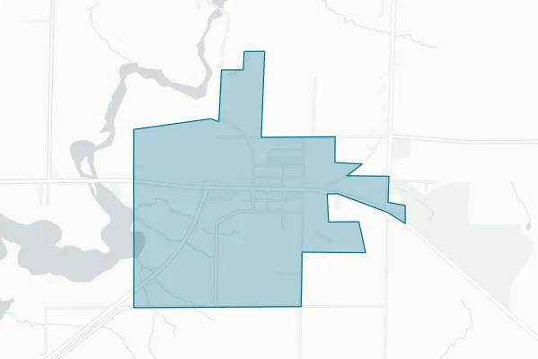 Village of Mesick — detail map