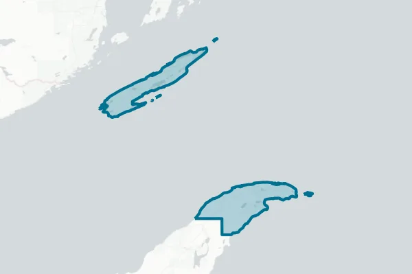 Grant Township — detail map
