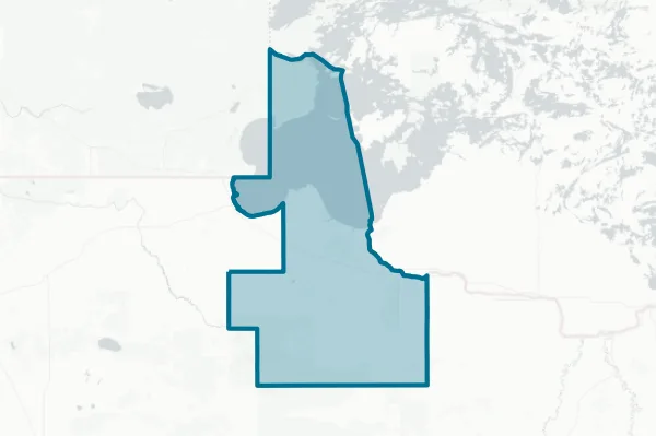 Lake of the Woods County — detail map