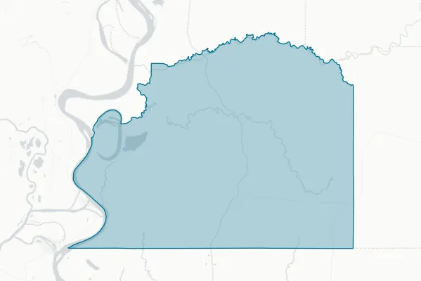 Wilkinson County Board of Supervisors — detail map