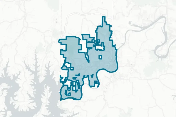 City of Branson — detail map