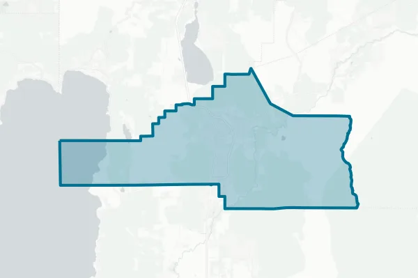 Carson City — detail map