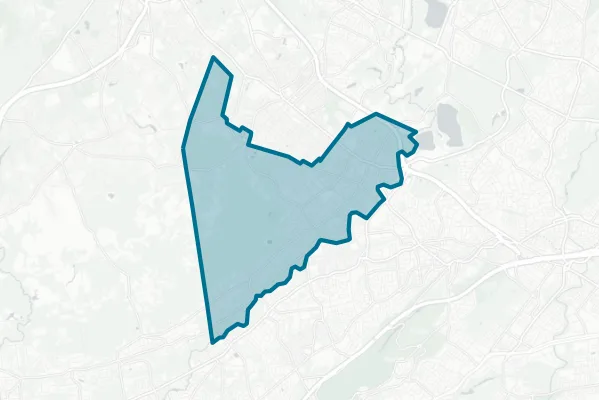 School Districts of the Chathams — detail map