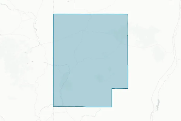 Catron County — detail map