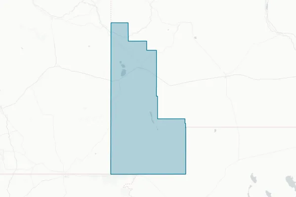 County of Hidalgo — detail map